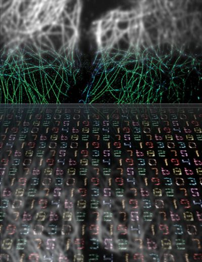 Multiplexed Super Resolution Imaging With Programmable Dna Probes