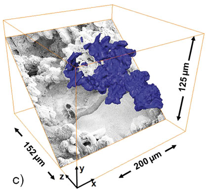 3D Analysis Of Complex Microstructures 2008 Wiley Analytical Science