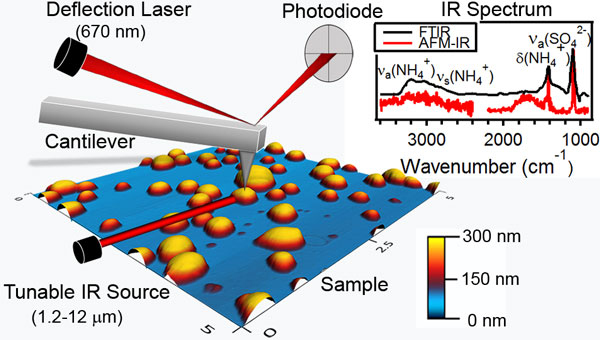 Atomic Force Microscopy Infrared Spectroscopy AFM IR For The Analysis