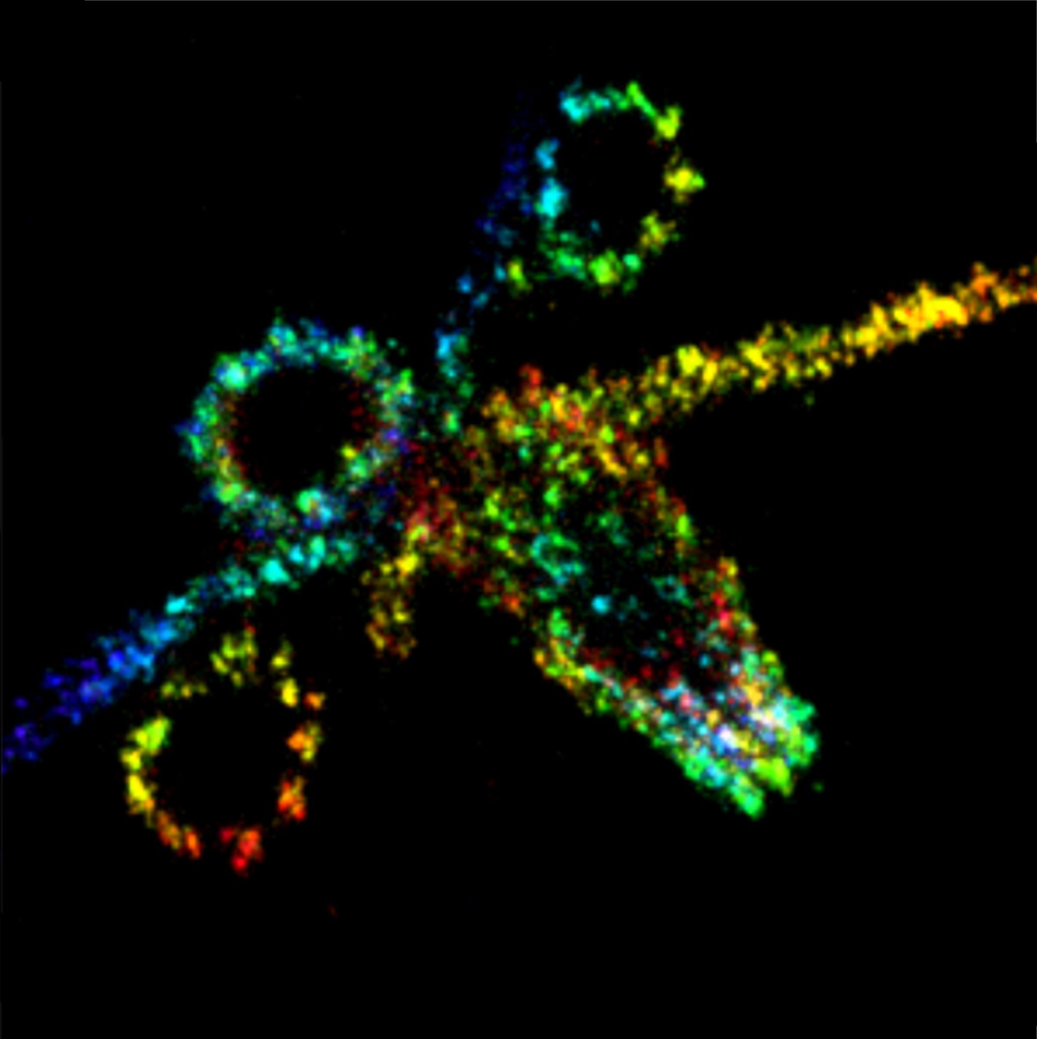 Super Resolution Expansion Microscopy Wiley Analytical Science