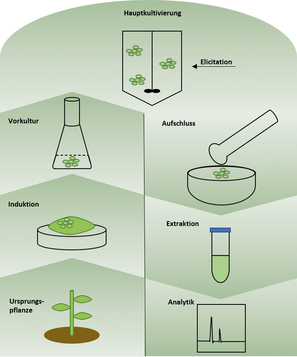 Von Der Pflanze Zum Produkt 2020 Wiley Analytical Science