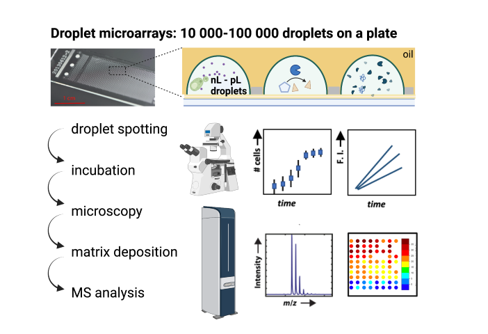 Droplet Microarrays For High Throughput Analysis Of Biochemical Samples