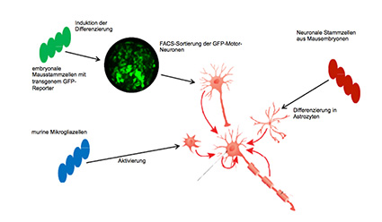 Hochdurchsatz-Screening - 2015 - Wiley Analytical Science