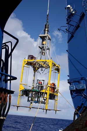 Microbes Found in the Mariana Trench - 2013 - Wiley Analytical Science