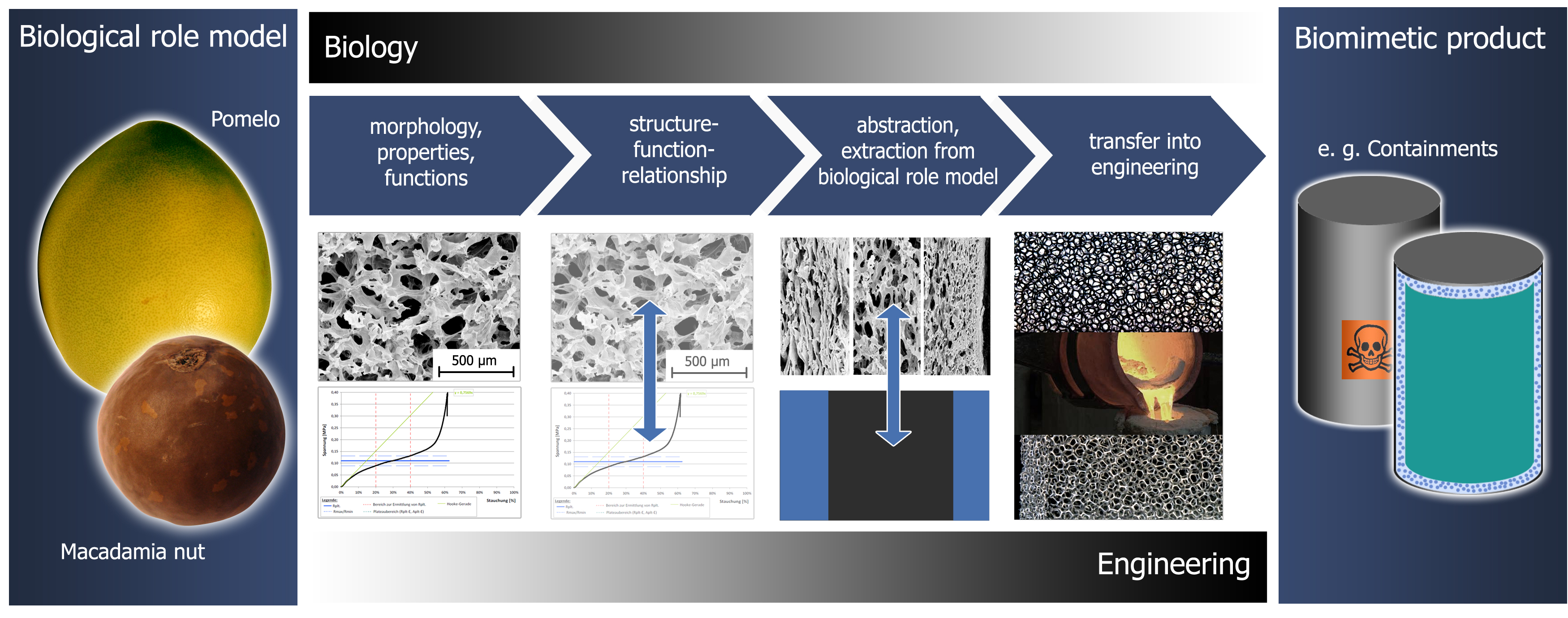 Biomimetic Engineering: Learning From Nature - 2013 - Wiley Analytical ...