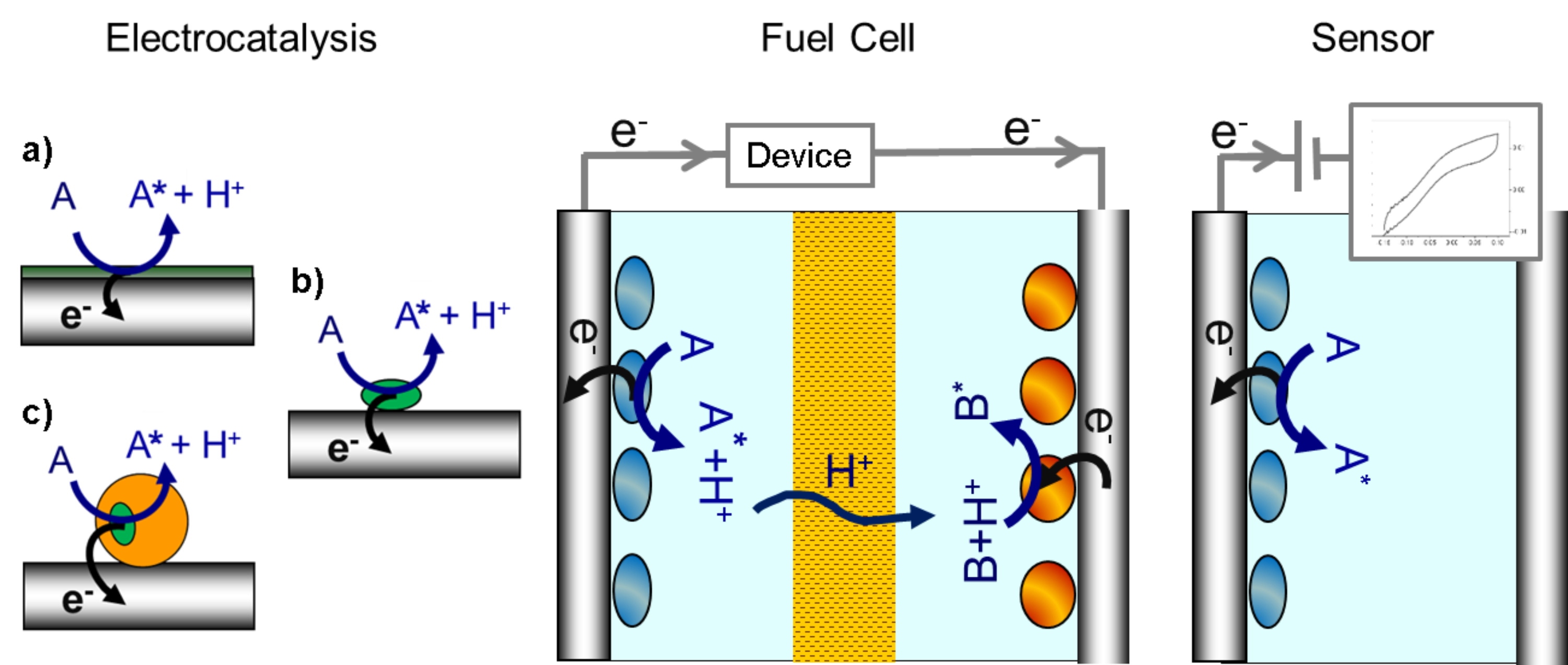 Surface Enhanced Spectro-Electrochemistry In Electrocatalysis - 2016 ...