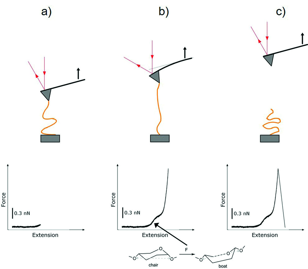 theory analysis and interpretation of single molecule force spectroscopy experiments