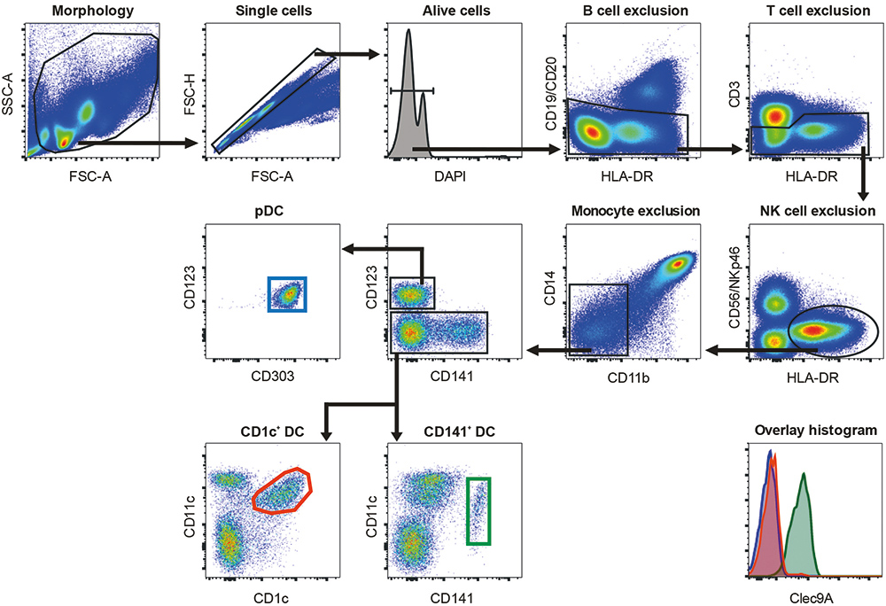 Multi Parameter Flow Cytometry 2017 Wiley Analytical Science