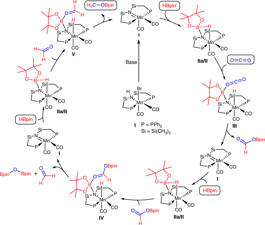 New Mn Complex Enables Catalytic Reduction Of Co2 And Carbonyl Groups 2018 Wiley Analytical Science