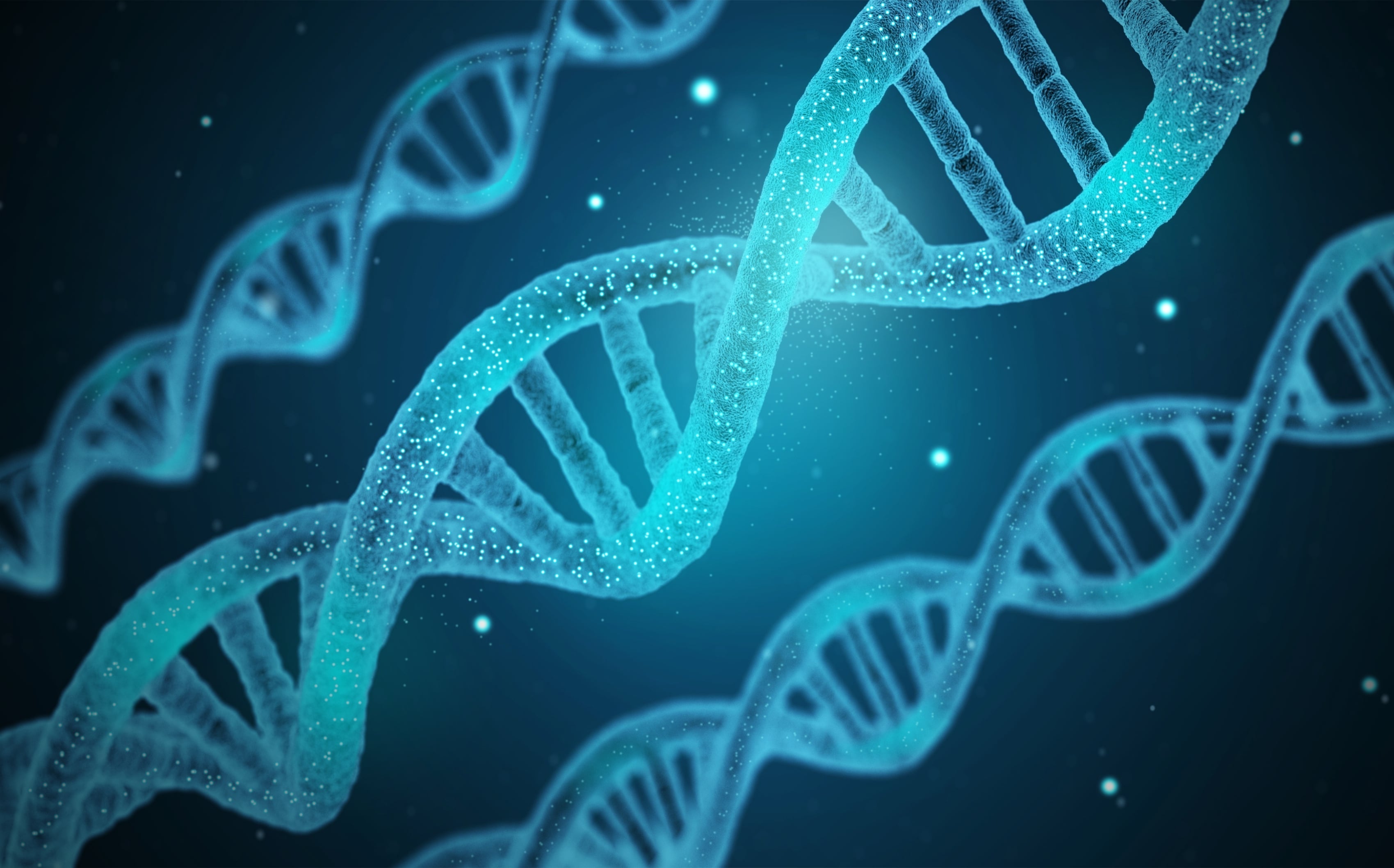 Combination of Various Sequencing, Assembly and Mapping Approaches ...