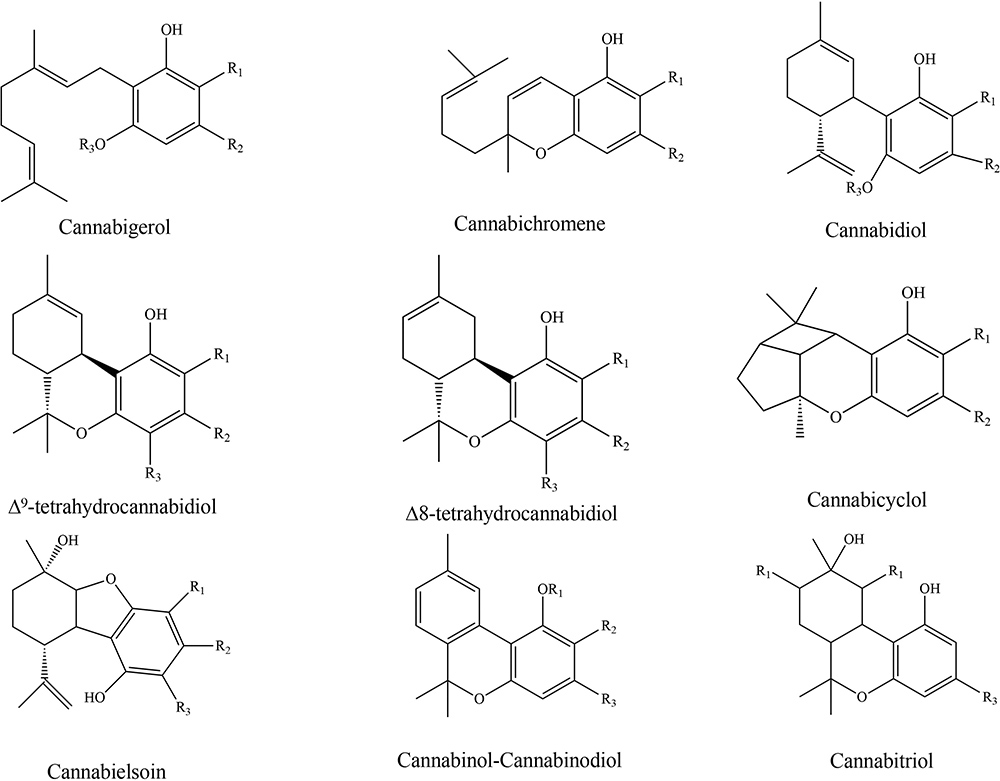 Chemical Analysis Of Cannabinoids - 2019 - Wiley Analytical Science