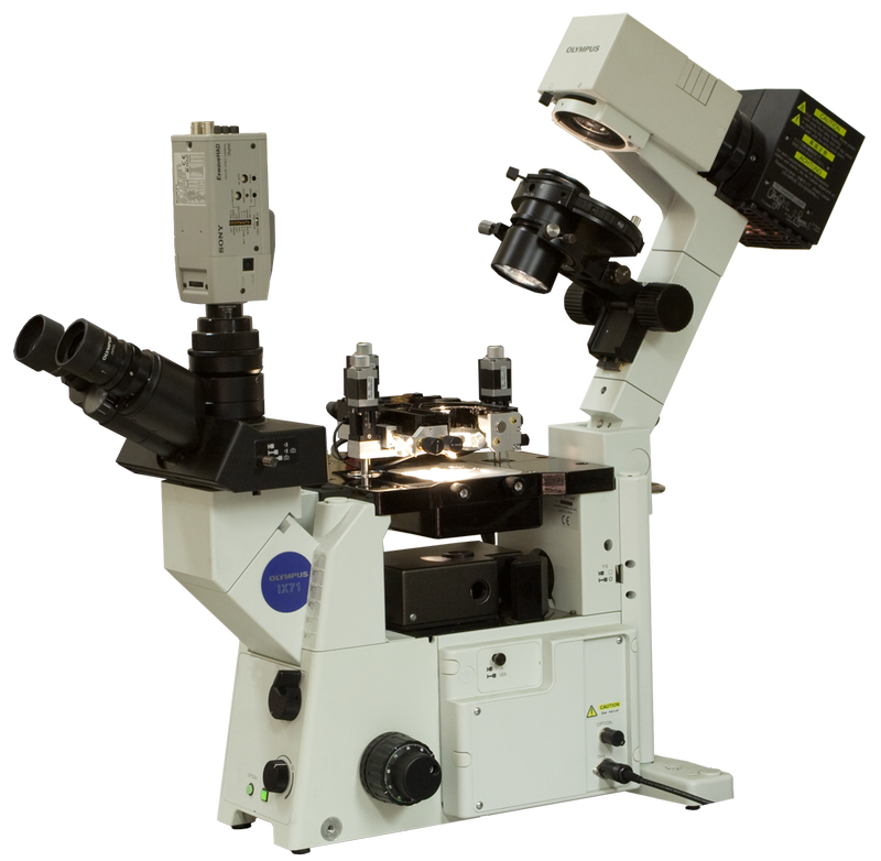 Certus Optic Integrated Optical And Scanning Probe Microscopes