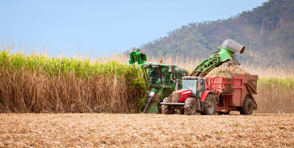 Turning Waste Biomass into High Value Chemicals - 2019 - Wiley