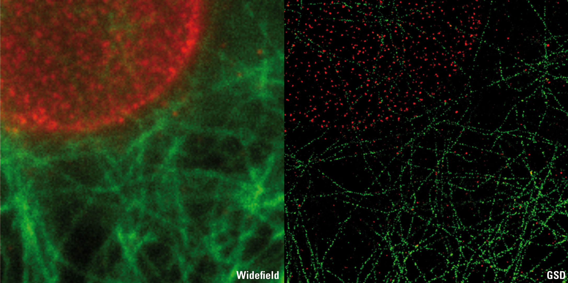 Online Seminar Webinar Super Resolution Single Molecule Detection With Leica Sr Gsd 2011 Wiley Analytical Science