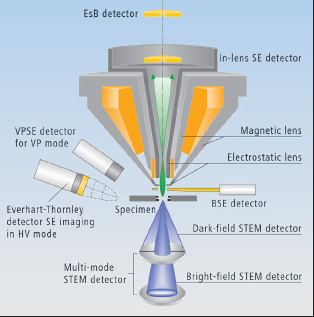 Scanning Transmission Electron Microscopy - 2005 - Wiley 