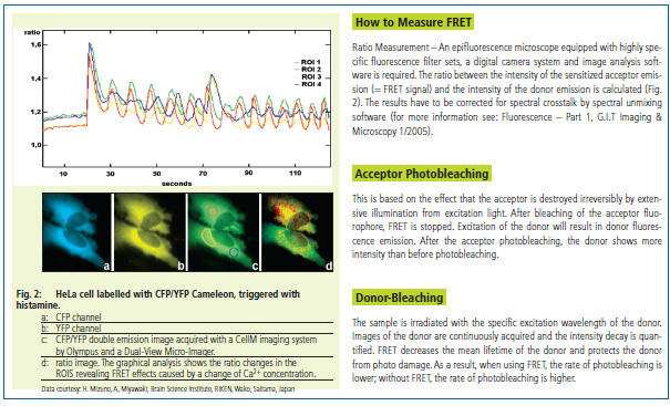 Fluorescence microscopy: biological applications and imaging methods