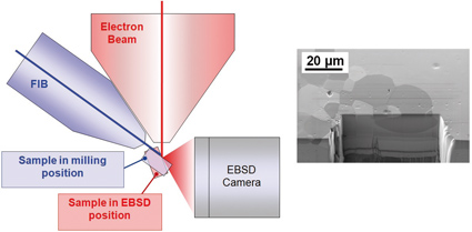 3D Orientation Microscopy: Electron Backscatter Diffraction In A ...