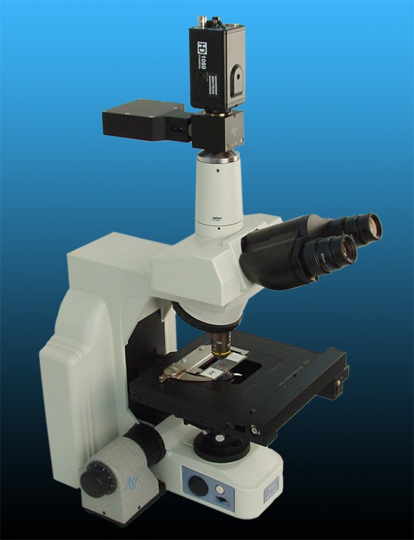 Applied Scientific Instrumentation Introduces it´s CRISP Autofocus System -  2015 - Wiley Analytical Science