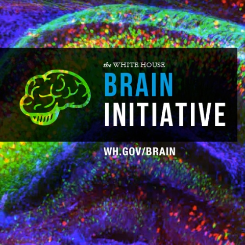 BRAIN Initiative: The National Institutes Of Health Awards $ 7,5 ...