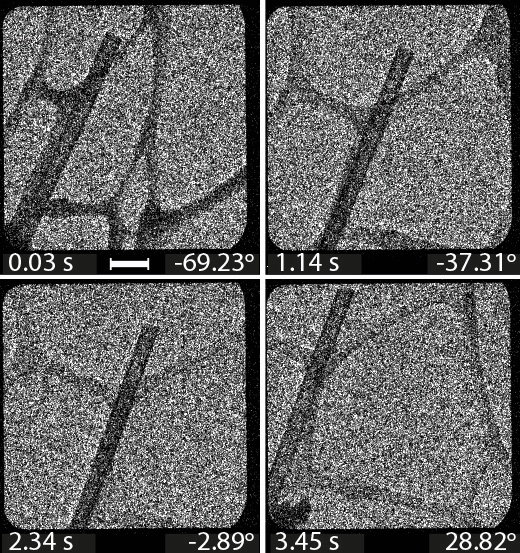 3D Imaging: Electron Tomography With 3487 Images In 3.5 Seconds - 2015 ...