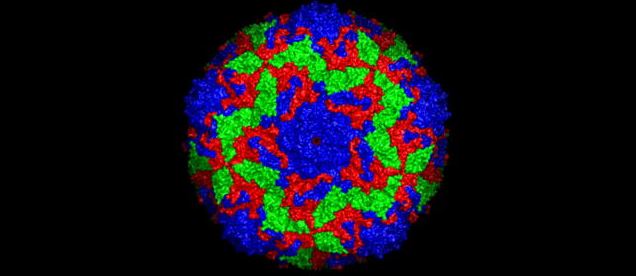 X-Ray Imaging: Deciphering the Atomic Structure of an Intact Virus ...