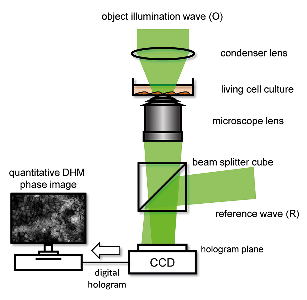 Digital Holographic Microscopy - 2019 - Wiley Analytical Science