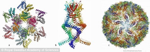 Nobel Prize In Chemistry 2017: Meet The Winners - 2017 - Wiley ...