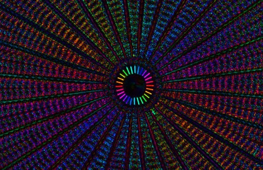 Stunning diatom image wins OSA competition - 2017 - Wiley Analytical ...