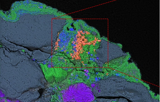 Hunter-Gatherers Harvested and Heated Microbial Biogenic Iron Oxides to  Produce Rock Art Pigment