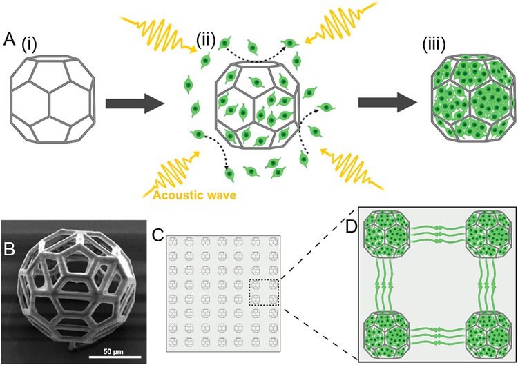 buckyballs instructions