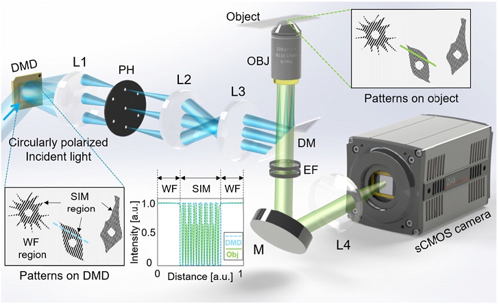 Imaging cancer cells as never before - 2020 - Wiley Analytical Science