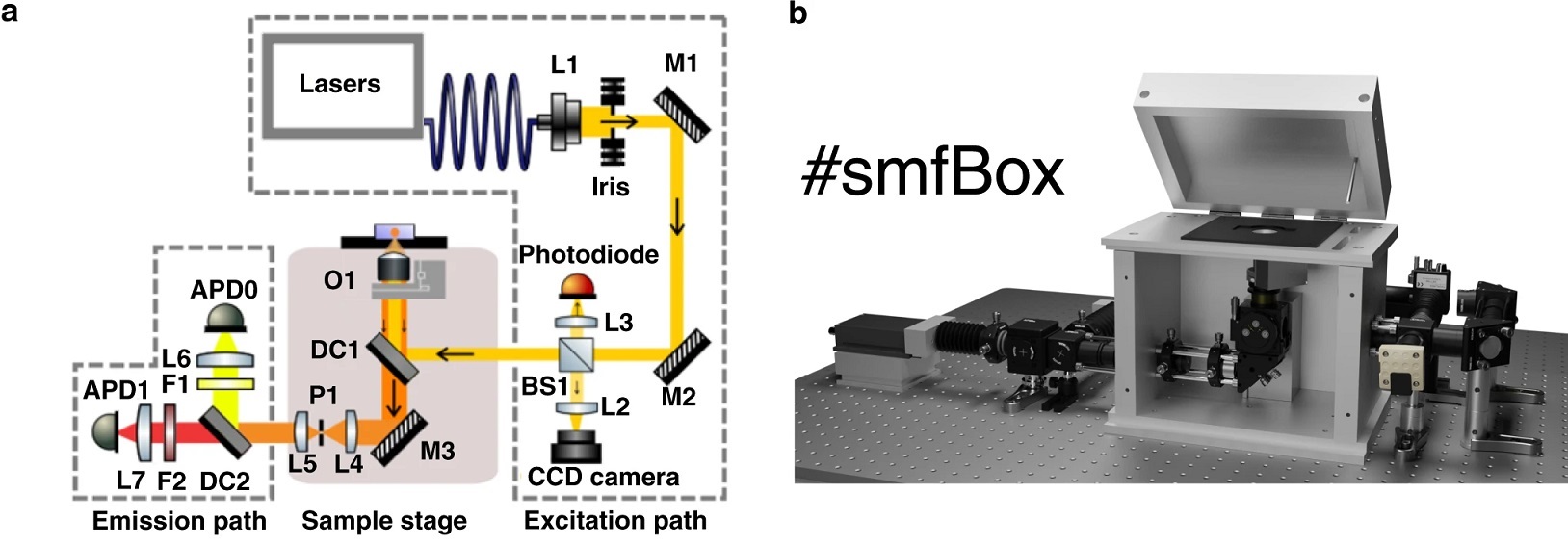 Build Your Own Single-molecule Microscope - 2020 - Wiley Analytical Science