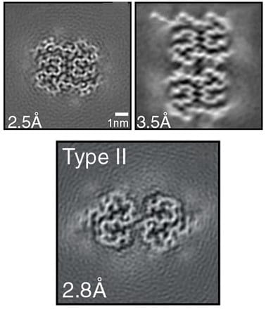 Microscopy And Analysis Wiley Analytical Science