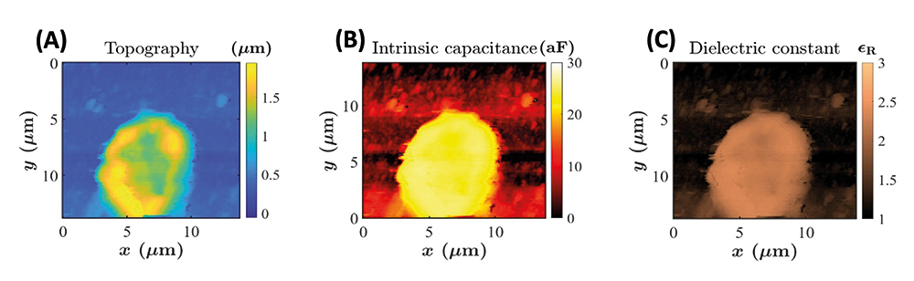 Inverted Scanning Microwave Microscopy - 2022 - Wiley Analytical Science