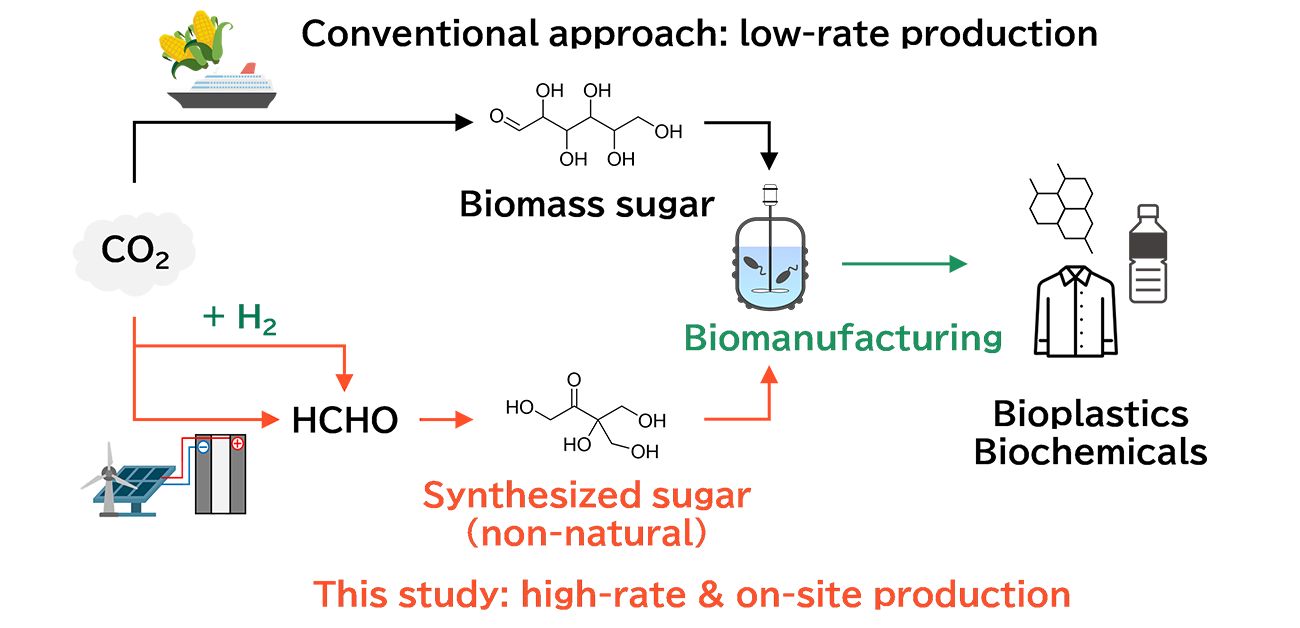 biomanufacturing-synthesized-sugars-1708698072153.jpg