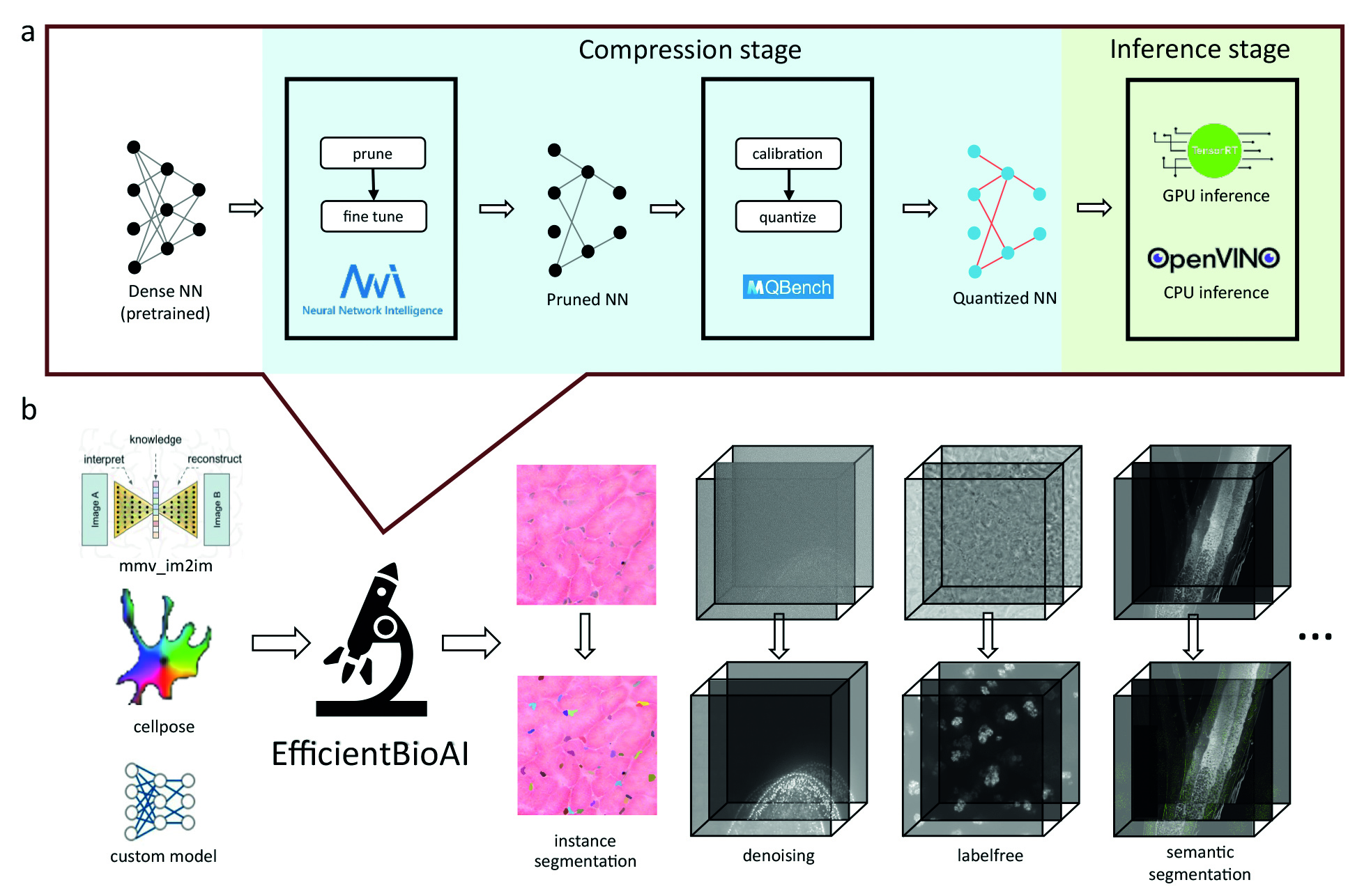 Enhancing efficiency in AI-based bioimage analysis - 2024 - Wiley ...