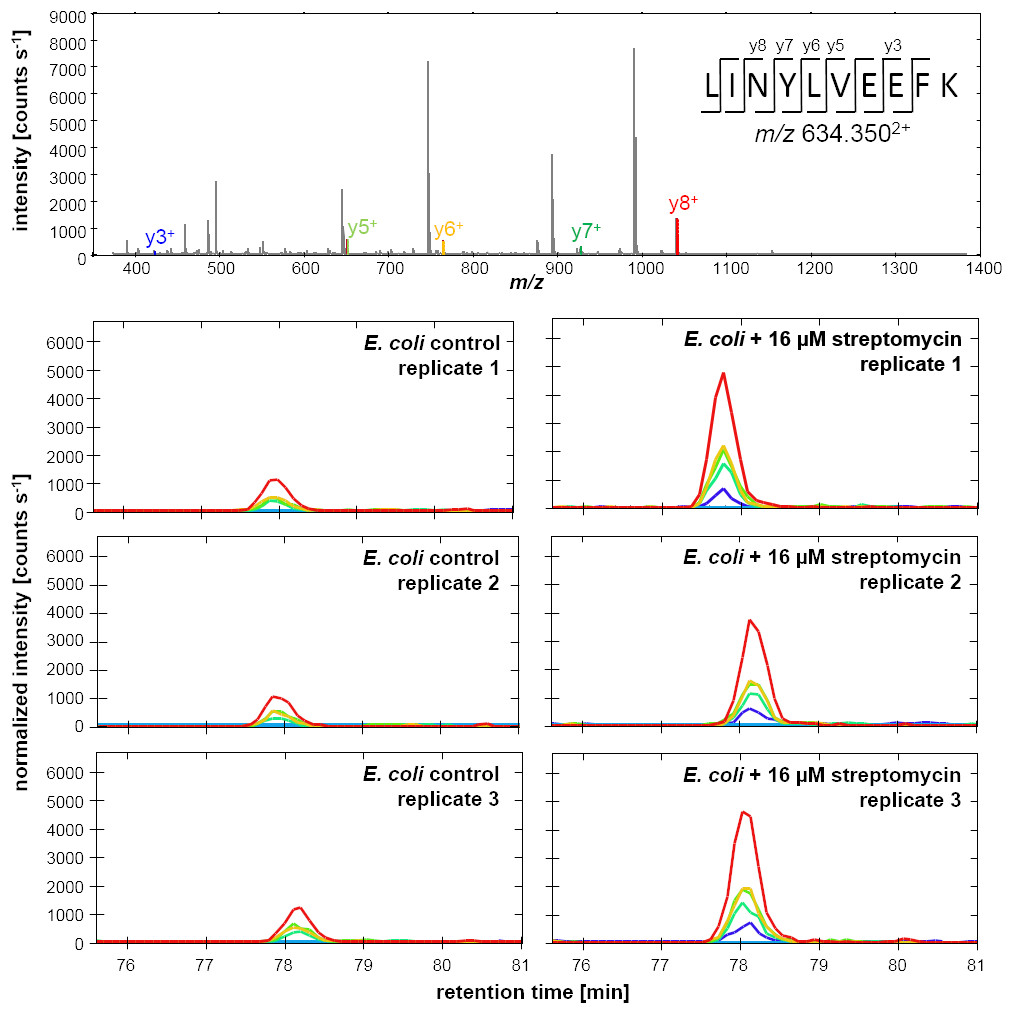 Data Independent Acquisition Mass Spectrometry 2020 Wiley