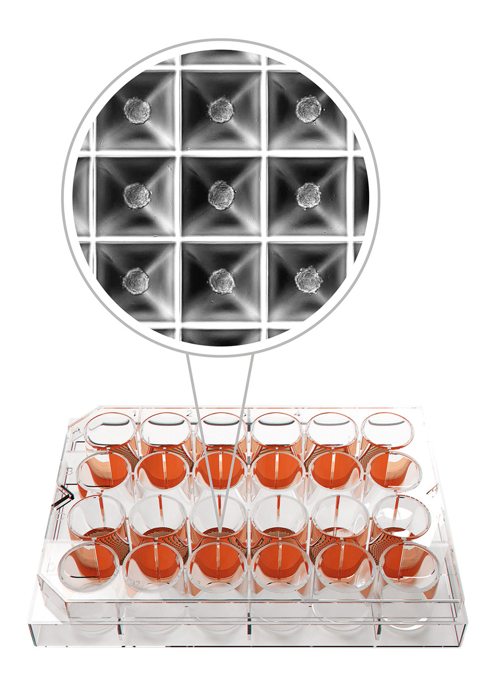 Heidolph Instruments - 2022 - Wiley Analytical Science