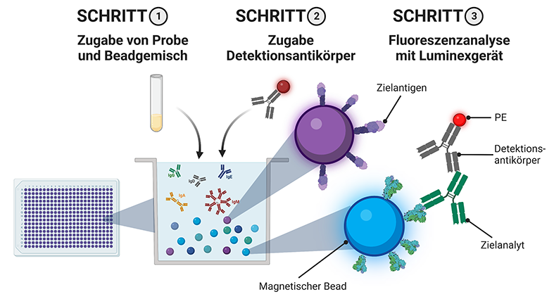 Multiplex-basierte Antikörpernachweise - 2023 - Wiley Analytical Science