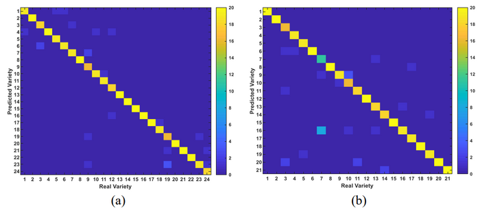 Algorithm to identify authenticity of crop varieties - 2022 - Wiley ...