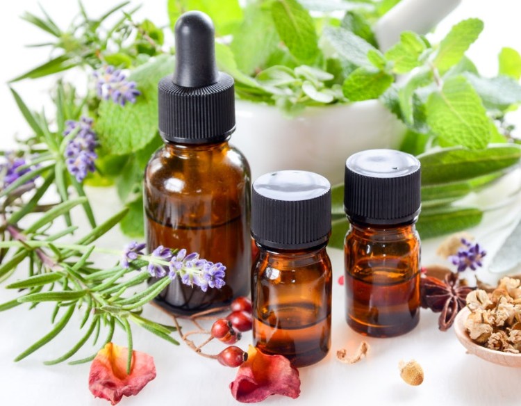 Essential oils from spices inhibit cholinesterase activity and improve ...