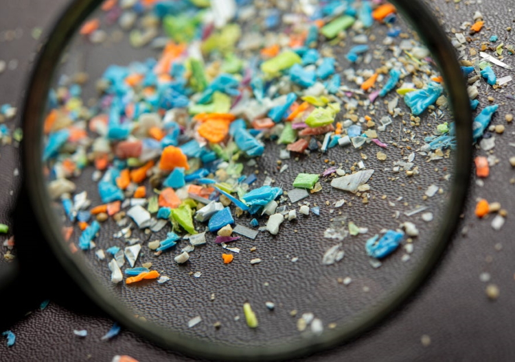 Managing microplastics in humans: Spectroscopic studies reveal ...