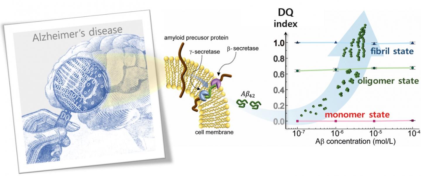 New Method To Monitor Alzheimer S Proteins Wiley Analytical Science