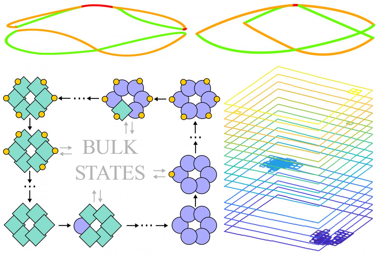 Topology in biology - 2021 - Wiley Analytical Science