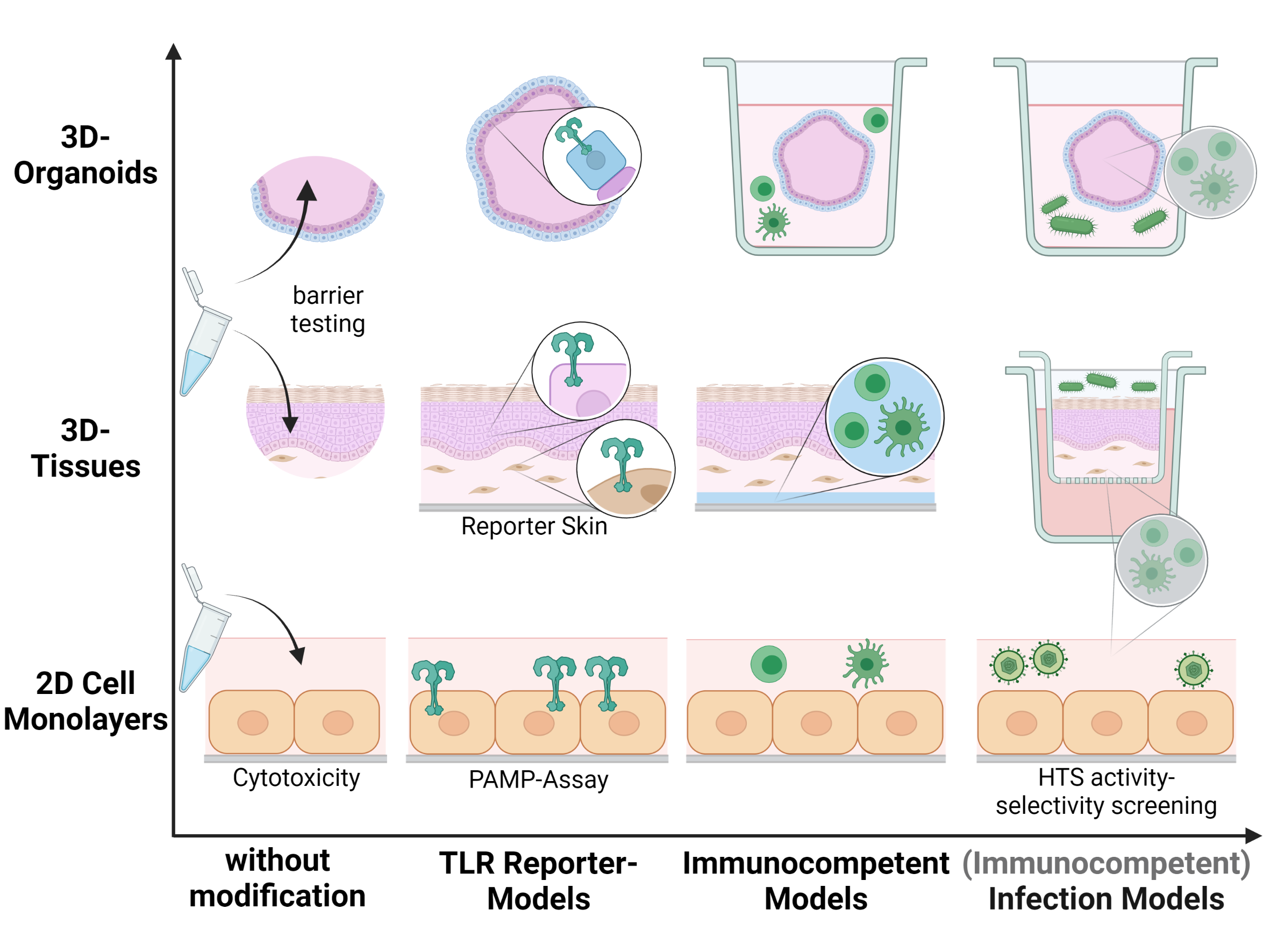 advantage of an in vitro experiment